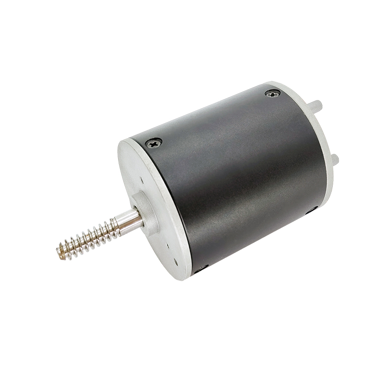 24 V 36V BL6070 kohvimasinate ja ubade veskiharjadeta mootor